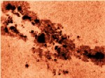 Manchas Solares